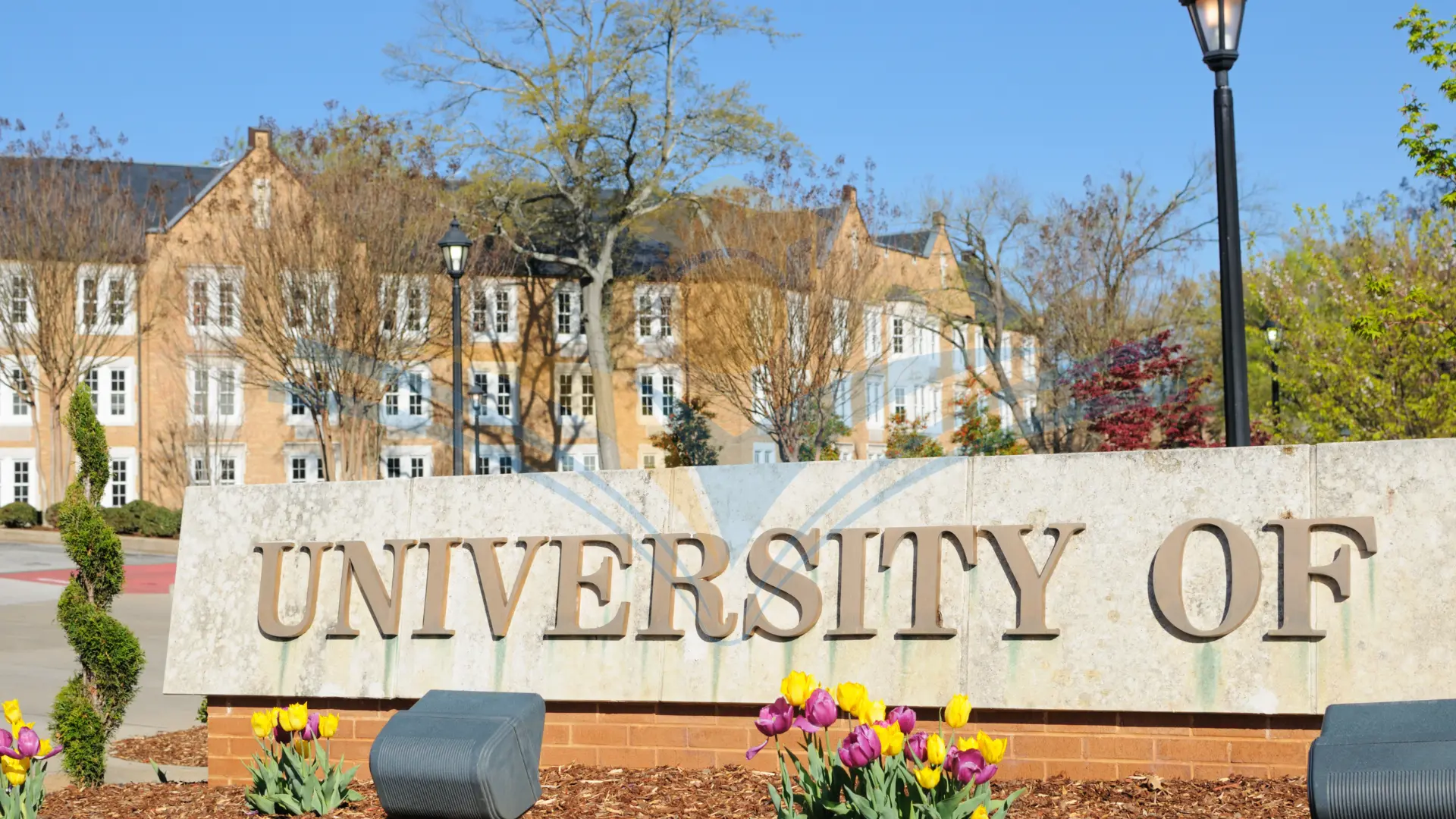 Mengapa Akreditasi Internasional Penting untuk Perguruan Tinggi? Ini 5 Keuntungannya!