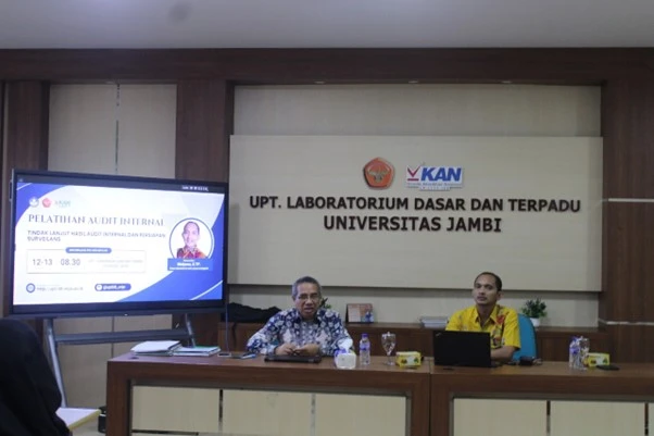 Audit Internal